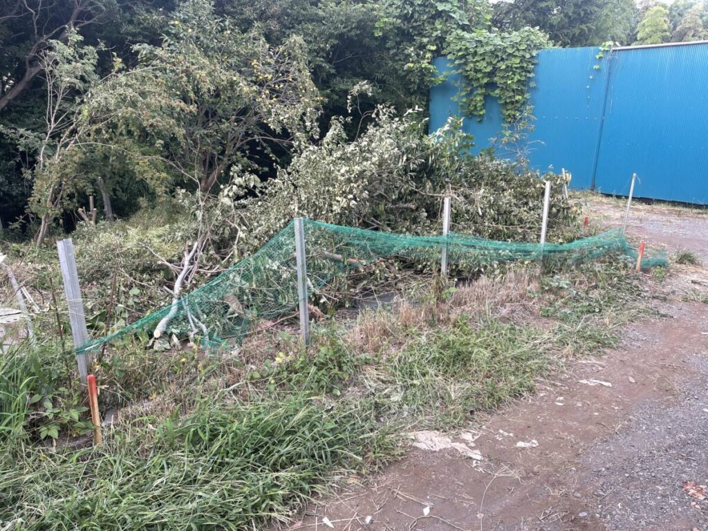 綾瀬市 山林 297㎡